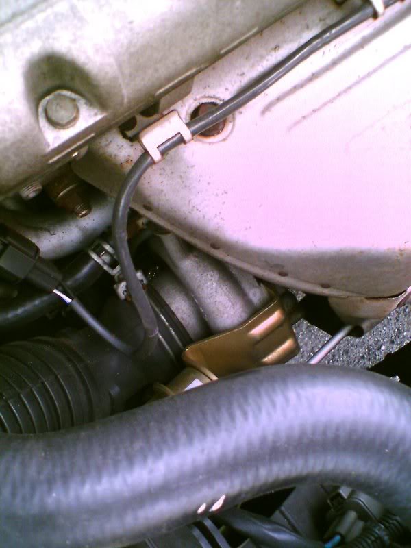 Name:  DSC_00005.jpg
Views: 34
Size:  54.5 KB