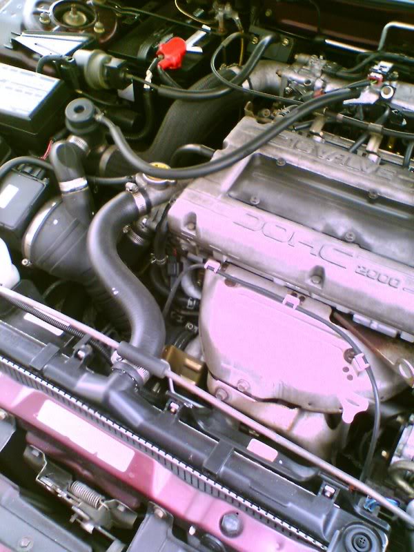 Name:  DSC_00004.jpg
Views: 25
Size:  89.2 KB