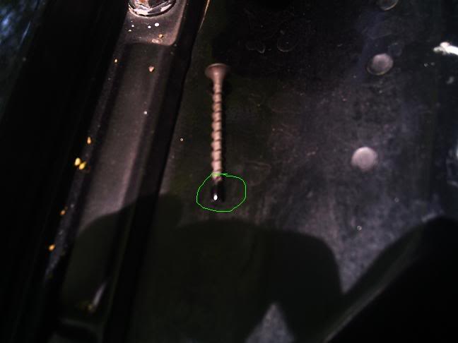 Name:  phto00194vi.jpg
Views: 1151
Size:  18.4 KB