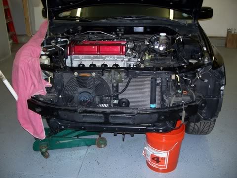 Name:  floridapartycar_108.jpg
Views: 27
Size:  42.6 KB