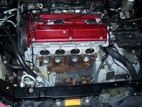 Name:  floridapartycar_109.jpg
Views: 51
Size:  53.5 KB