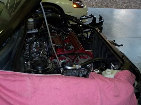 Name:  floridapartycar_116.jpg
Views: 25
Size:  31.9 KB