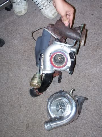 Name:  floridapartycar_117.jpg
Views: 72
Size:  54.4 KB