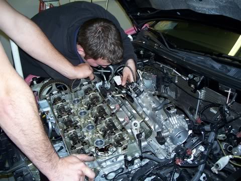 Name:  floridapartycar_139.jpg
Views: 28
Size:  54.9 KB