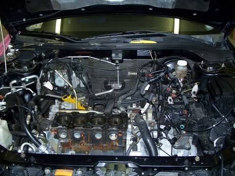 Name:  floridapartycar_143.jpg
Views: 26
Size:  52.9 KB