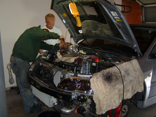 Name:  Evo01.jpg
Views: 26
Size:  39.7 KB