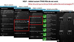Solution for 2 sets of tires and TPMS-tpms-pids.jpg