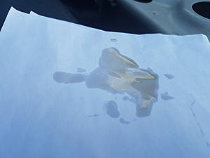 CVT Oil UK-20180507_170316.jpg