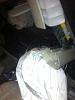 outlander 2010 crashed-image%5B3%5D.jpg