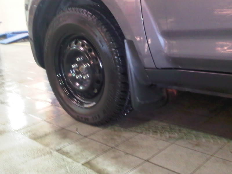 Name:  Newmarket-20110217-00027.jpg
Views: 214
Size:  42.4 KB