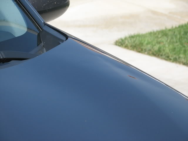 Name:  IMG_0219.jpg
Views: 92
Size:  19.9 KB