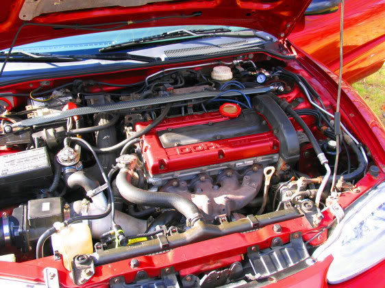 Name:  talon5.jpg
Views: 22
Size:  78.6 KB