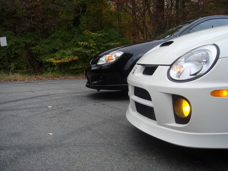 Name:  srt4cobalt3.jpg
Views: 24
Size:  101.5 KB