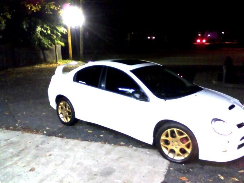 Name:  p_00059-1.jpg
Views: 32
Size:  53.8 KB