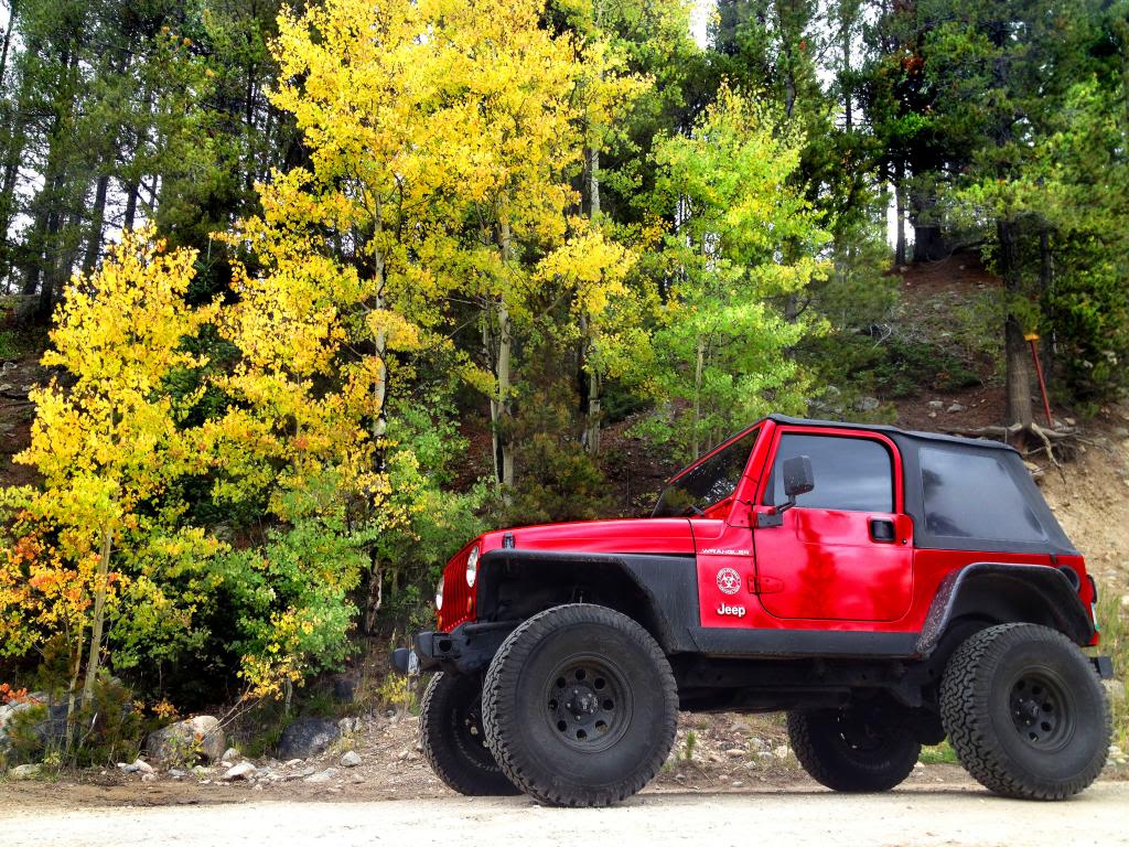 Name:  photo24ps.jpg
Views: 301
Size:  238.3 KB