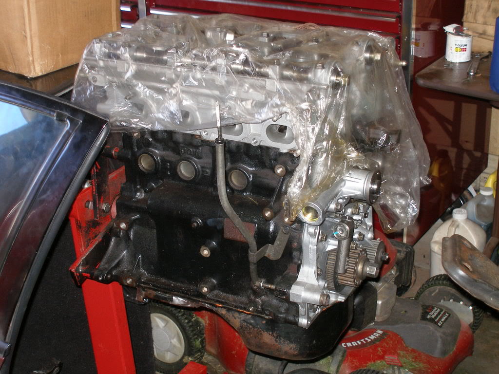 Name:  P9160064.jpg
Views: 16
Size:  137.9 KB