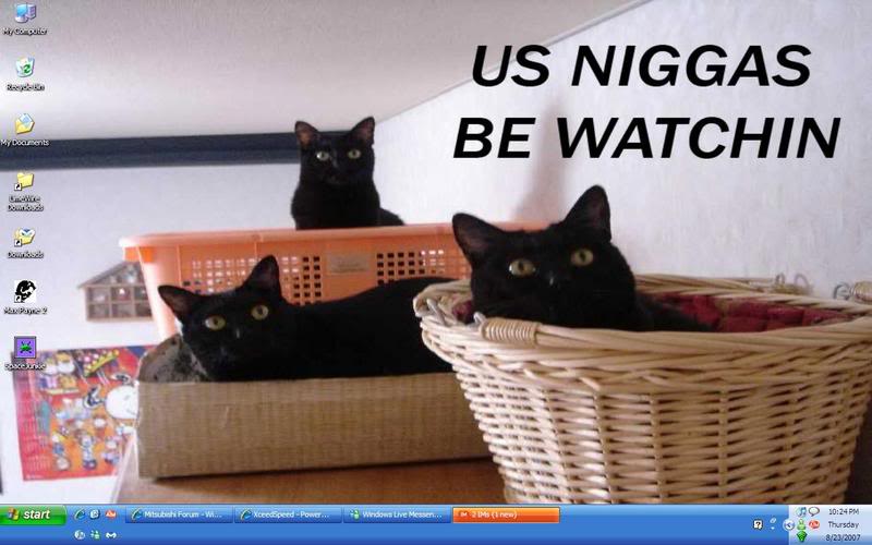 Name:  Screenie.jpg
Views: 22
Size:  53.9 KB