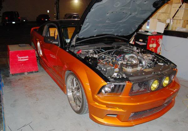 Name:  mustang6.jpg
Views: 15
Size:  42.6 KB