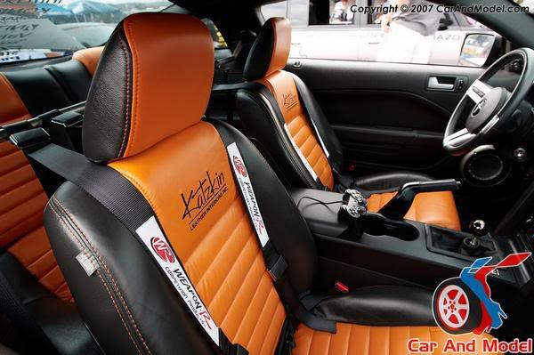 Name:  mustang5.jpg
Views: 15
Size:  44.9 KB