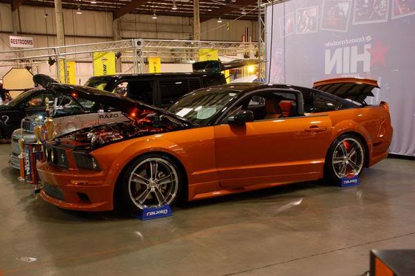 Name:  mustang4.jpg
Views: 17
Size:  40.9 KB