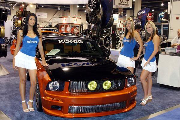 Name:  mustang3.jpg
Views: 15
Size:  56.6 KB