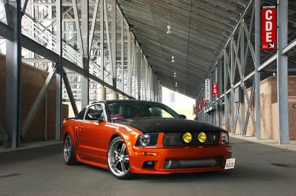 Name:  mustang.jpg
Views: 24
Size:  49.7 KB