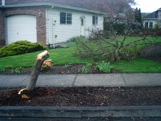 Name:  IMAG0092.jpg
Views: 15
Size:  57.1 KB