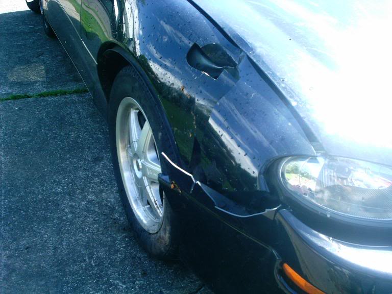 Name:  camaro2.jpg
Views: 15
Size:  60.4 KB