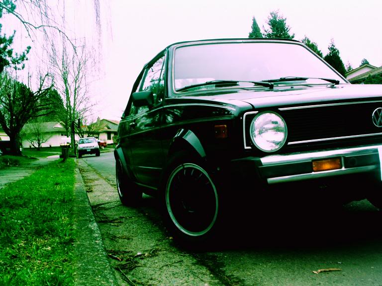 Name:  rabbitkevin.jpg
Views: 17
Size:  76.9 KB