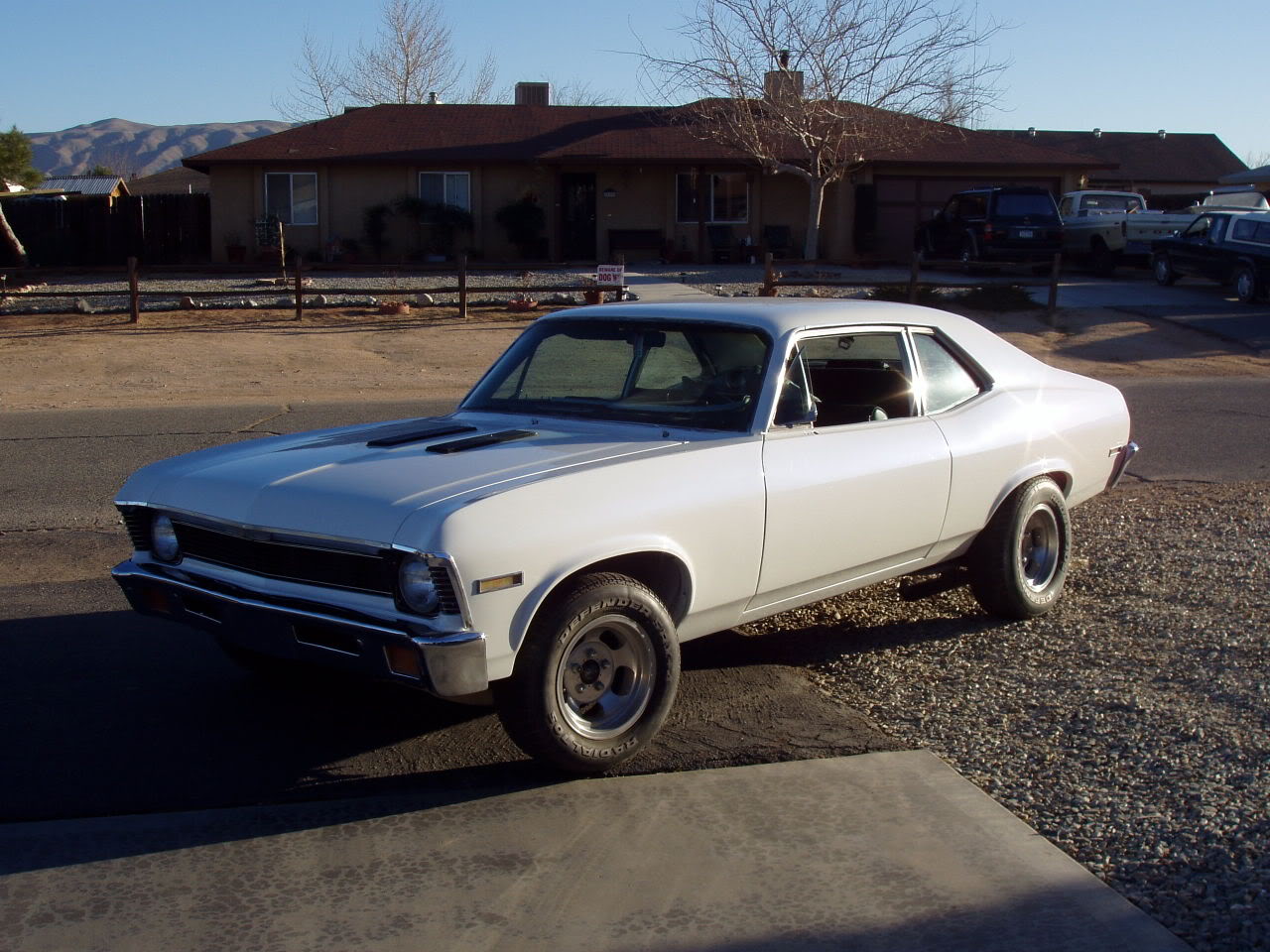 Name:  P1010001.jpg
Views: 15
Size:  196.9 KB