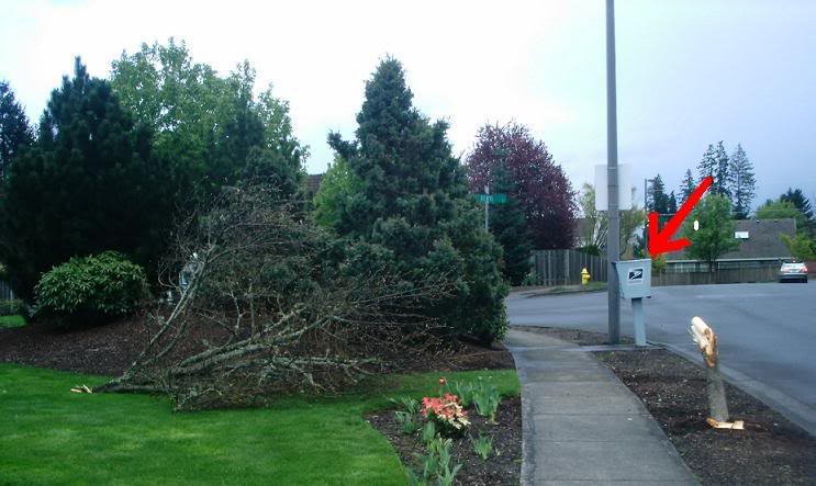 Name:  federalie.jpg
Views: 23
Size:  54.6 KB