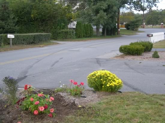 Name:  DSCN0653.jpg
Views: 12
Size:  54.8 KB