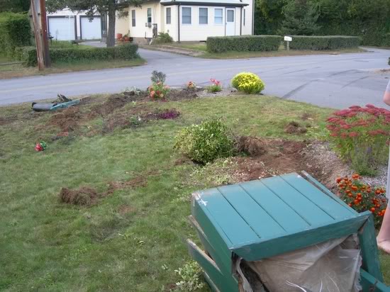 Name:  DSCN0654.jpg
Views: 16
Size:  57.8 KB