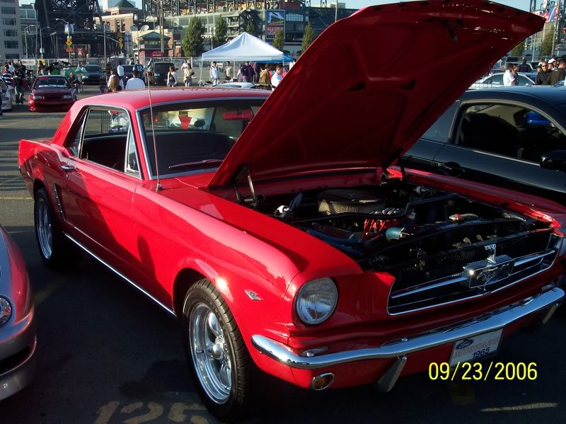 Name:  100_1262.jpg
Views: 17
Size:  101.2 KB