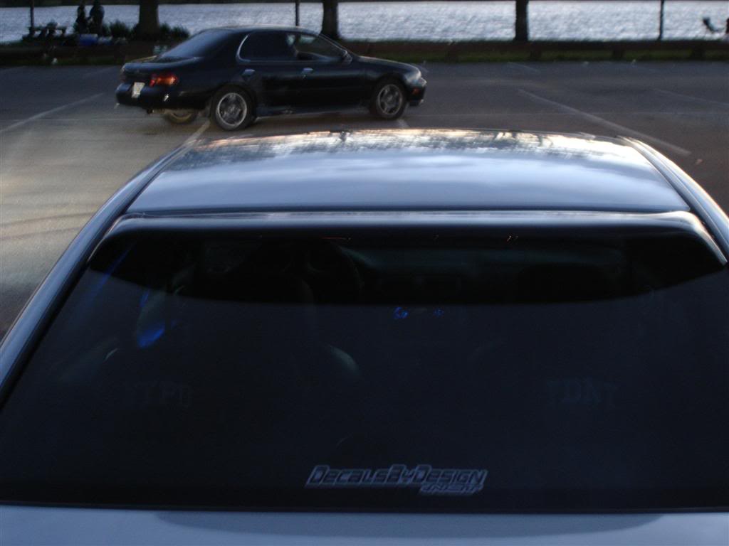 Name:  DSC00334Large.jpg
Views: 76
Size:  49.8 KB