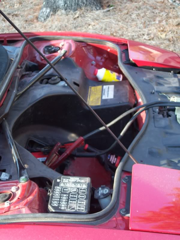 Name:  100_1256.jpg
Views: 33
Size:  81.8 KB