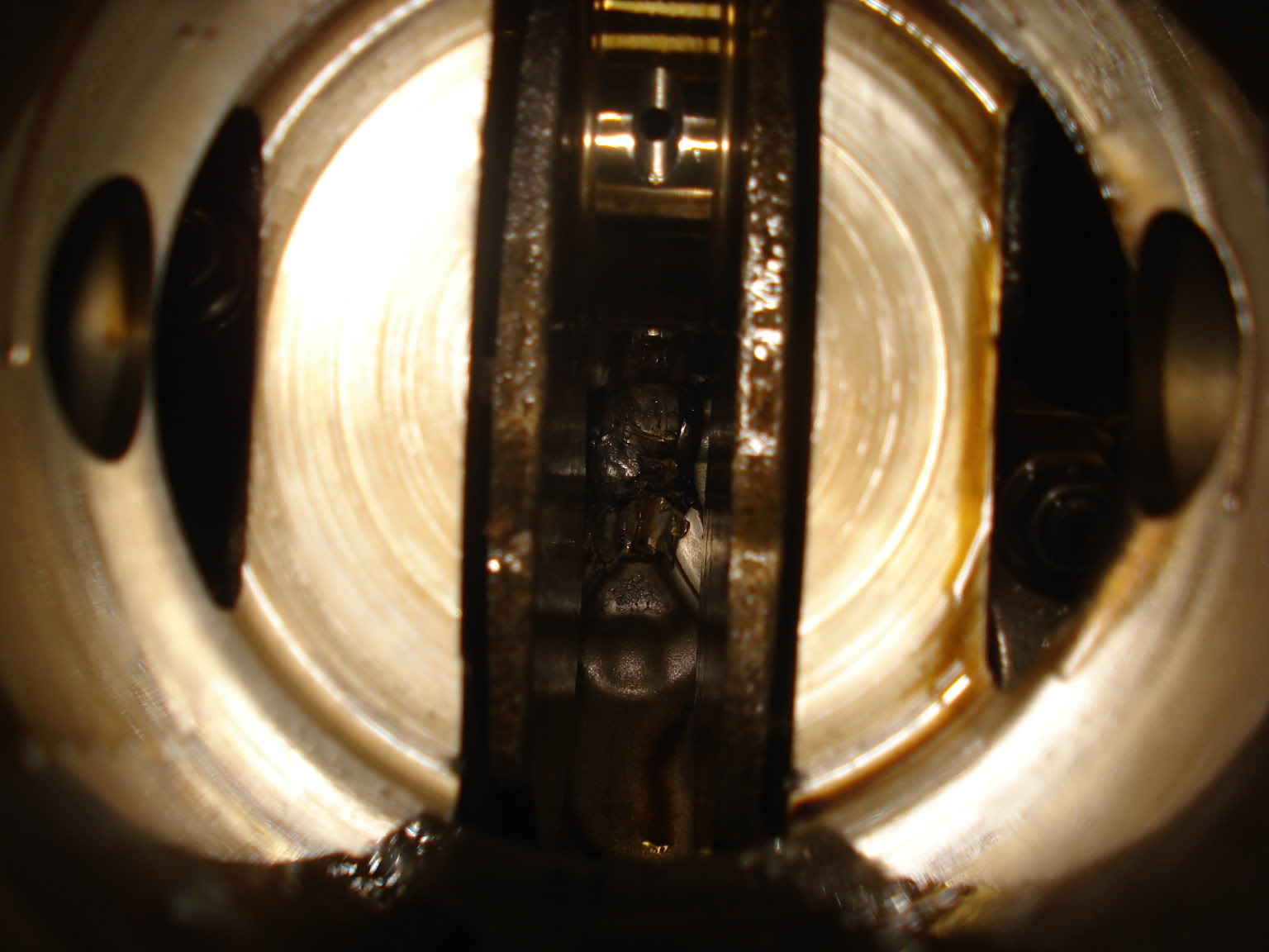 Name:  Picture688.jpg
Views: 26
Size:  140.9 KB