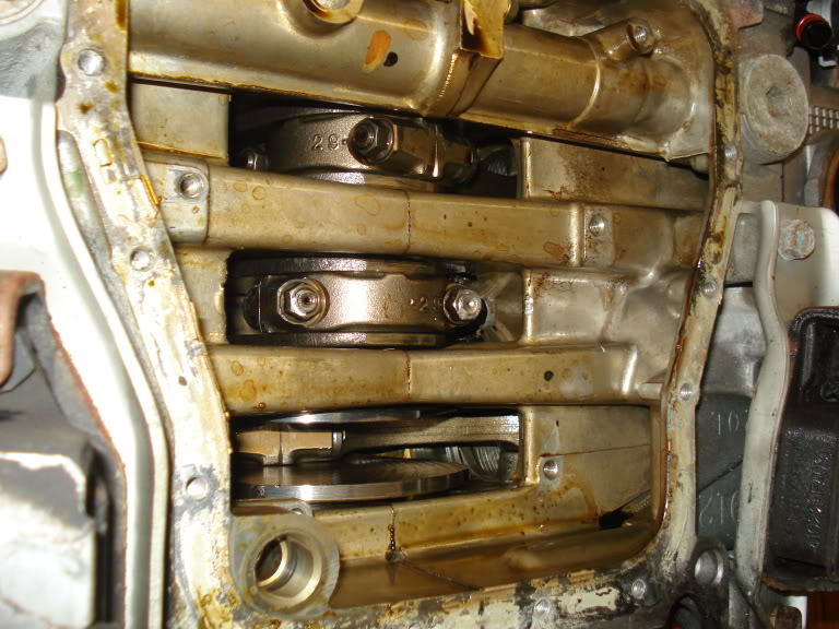 Name:  Picture677.jpg
Views: 25
Size:  95.4 KB