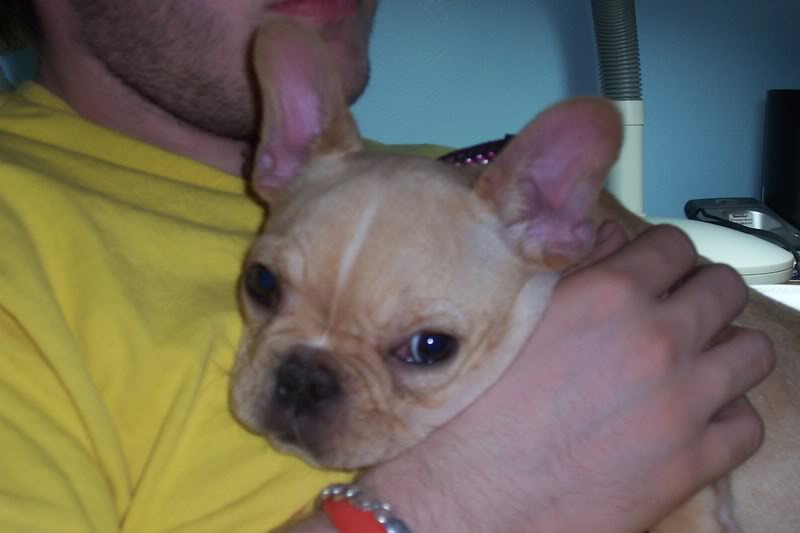 Name:  100_1200.jpg
Views: 23
Size:  29.5 KB