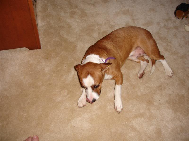 Name:  DSC02697Medium.jpg
Views: 197
Size:  49.9 KB