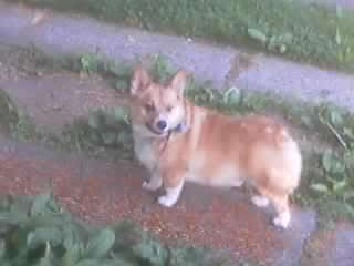 Name:  Jun18_001.jpg
Views: 1408
Size:  7.0 KB