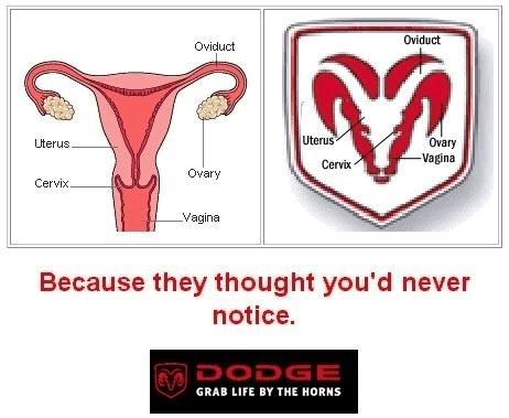 Name:  Vaginahorn.jpg
Views: 22
Size:  33.2 KB