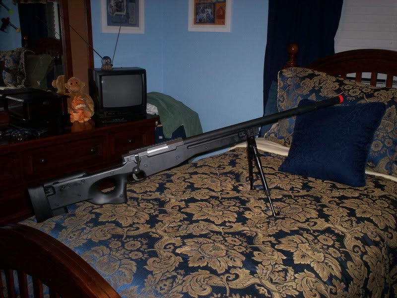 Name:  100_0294.jpg
Views: 29
Size:  101.9 KB