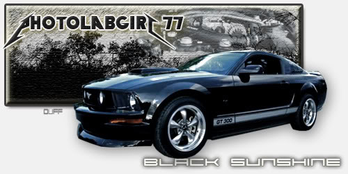 Name:  PLGnewfont1.jpg
Views: 22
Size:  39.7 KB