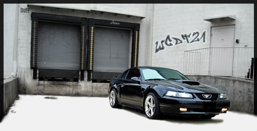 Name:  wgdt21copy.jpg
Views: 28
Size:  24.7 KB