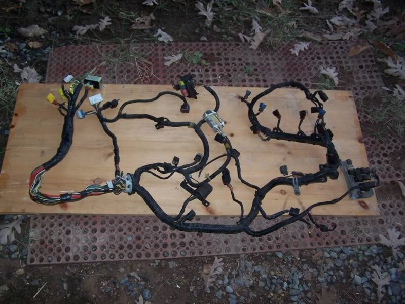 Name:  harness.jpg
Views: 28
Size:  98.4 KB